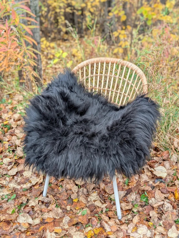 Black fluffy long wool icelandic sheepskin throw draped over wicker chair with metal legs natural black wool icelandic