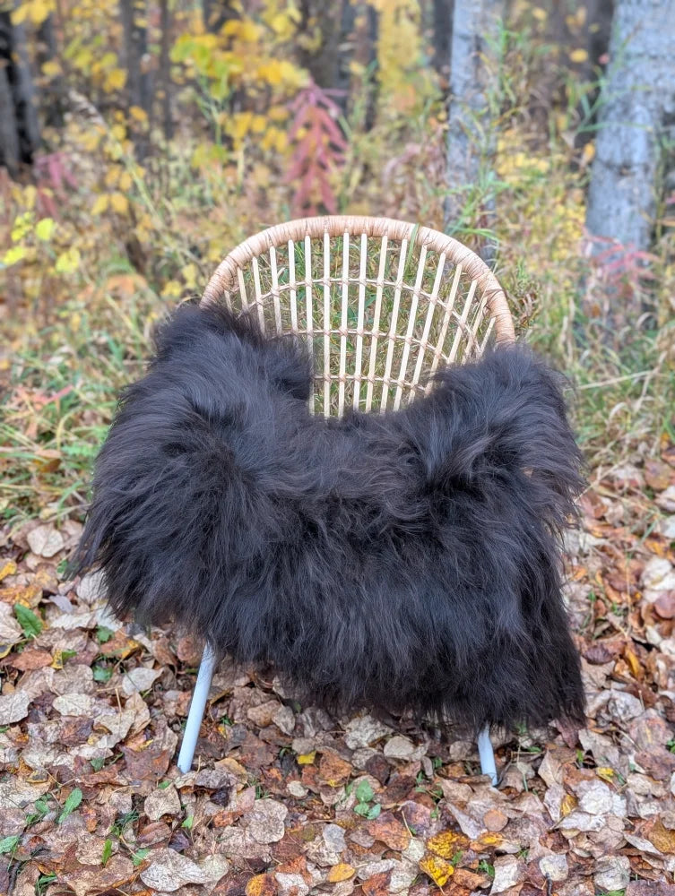 Black fluffy long wool icelandic sheepskin throw draped over woven wicker chair for cozy decor