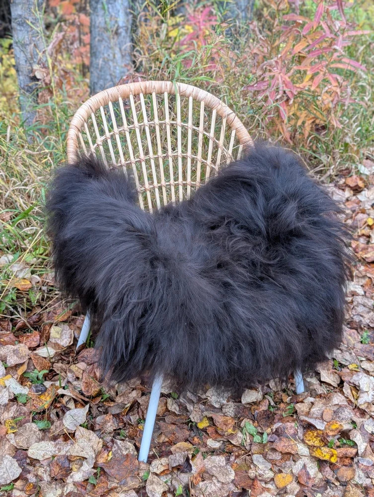 Black fluffy long wool icelandic sheepskin throw draped over woven rattan chair with light legs