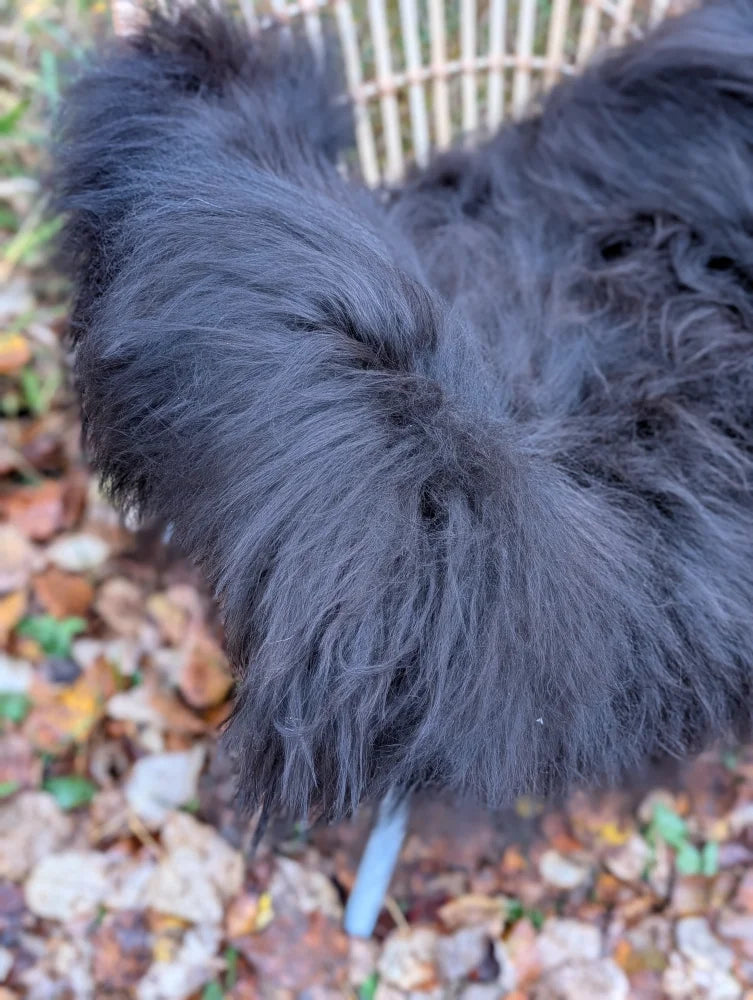 A fluffy black dog lying on a long wool natural black icelandic sheepskin rug with thick wool icelandic fur