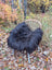Black fluffy long wool icelandic sheepskin throw draped over wicker chair with light blue metal legs