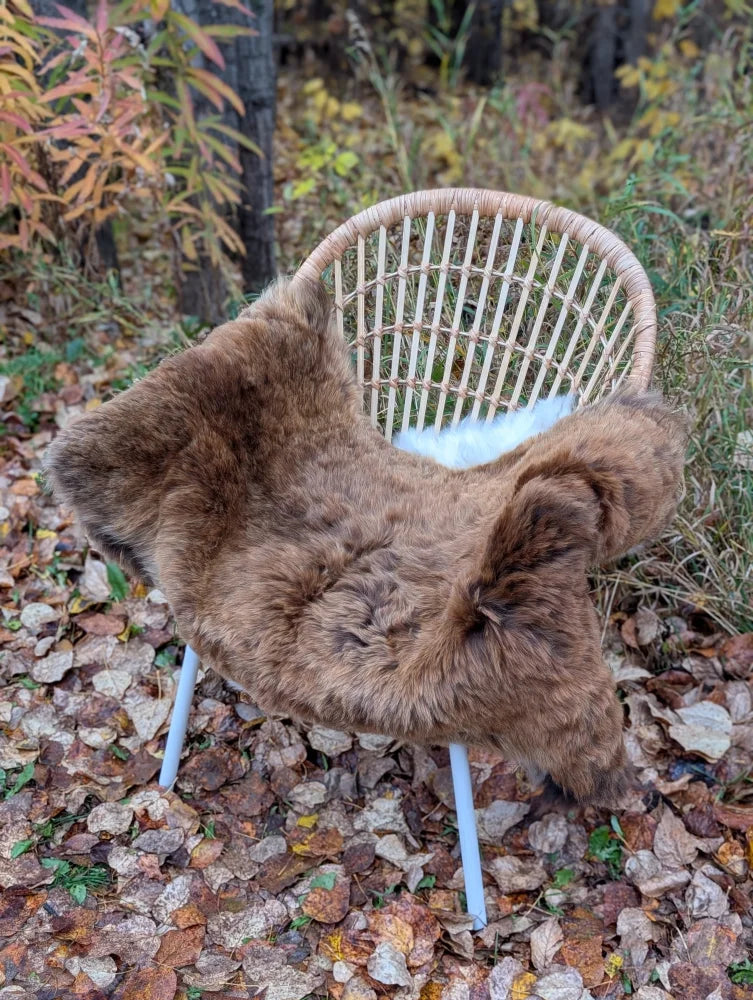 Brown fluffy wool icelandic sheepskin rug draped over woven rattan chair with white metal legs