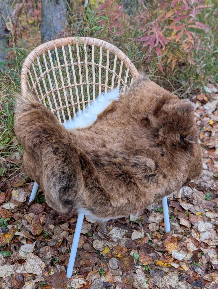 A cozy thick brown wool icelandic sheepskin throw draped over a woven rattan chair with light blue metal legs