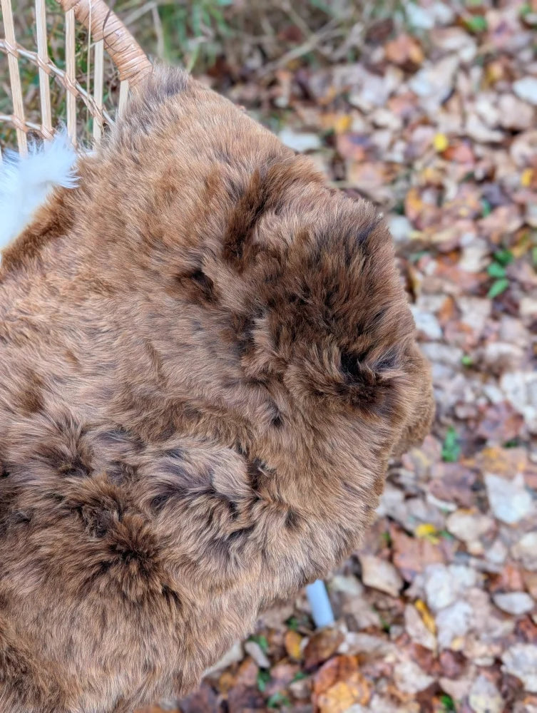 A fluffy brown dog sits on a wool icelandic sheepskin shortwool rug amidst autumn leaves