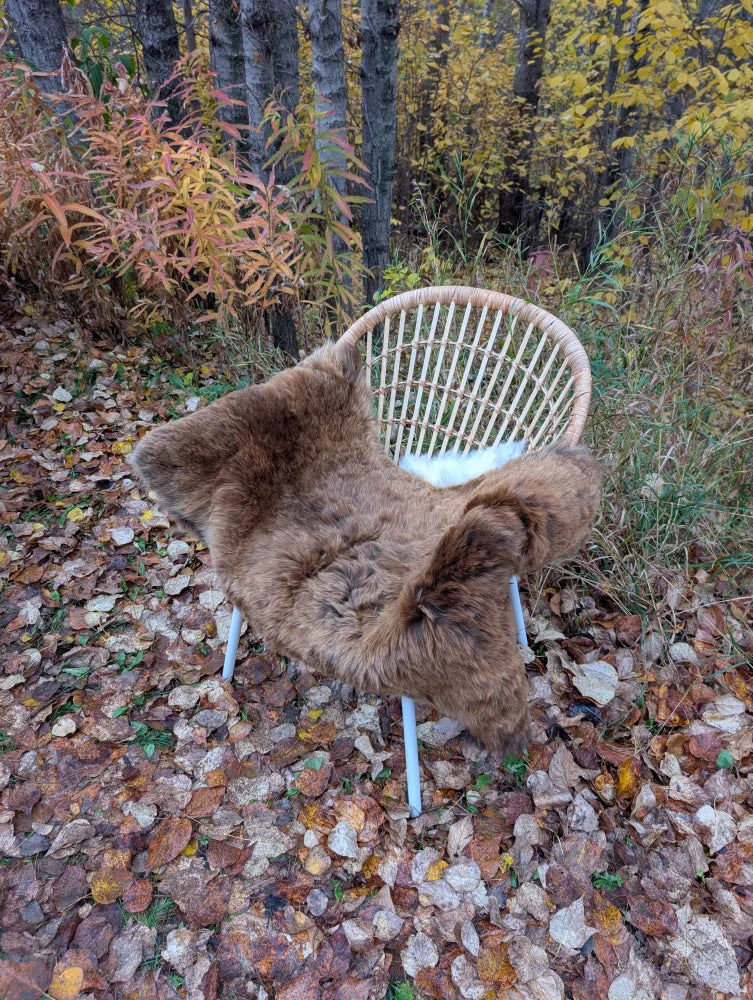 Brown fluffy icelandic sheepskin rug draped over light wicker chair with white legs wool icelandic soft shortwool
