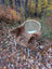 Brown fluffy icelandic sheepskin rug draped over light wicker chair with white legs wool icelandic soft shortwool