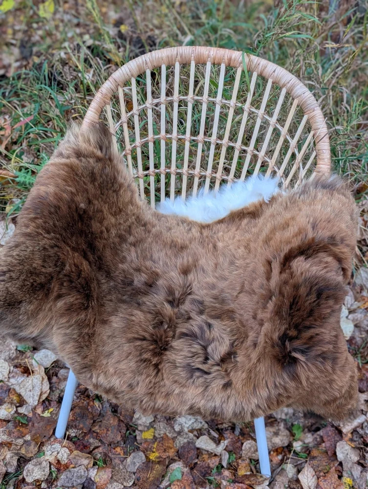 Brown icelandic sheepskin shortwool rug draped over woven rattan chair with white legs perfect for cozy decor