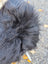 A fluffy black dog head with thick curly fur on a long wool natural black icelandic sheepskin product