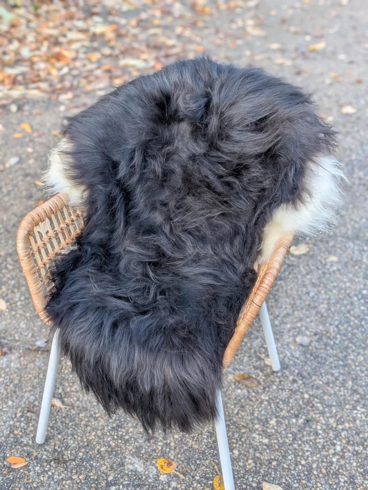 A plush long wool icelandic sheepskin rug in black and white draped over a wicker chair