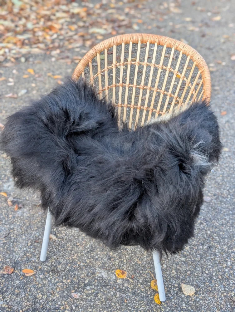 A cozy black long wool icelandic sheepskin throw draped over a woven wicker chair with metal legs