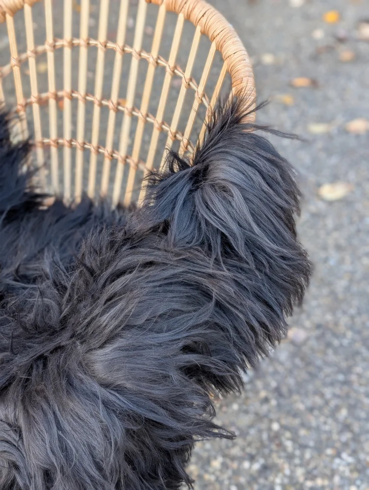 A fluffy black dog tail peeks from a woven basket on a long wool natural black icelandic sheepskin rug