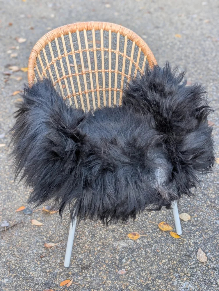 Black long wool icelandic sheepskin chair cover draped over wicker chair with white metal legs