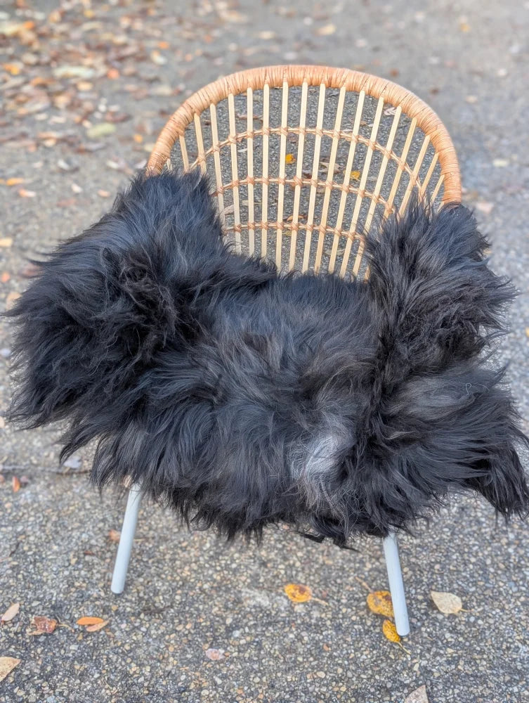 Black fluffy long wool icelandic sheepskin chair cover draped over woven wicker chair with metal legs