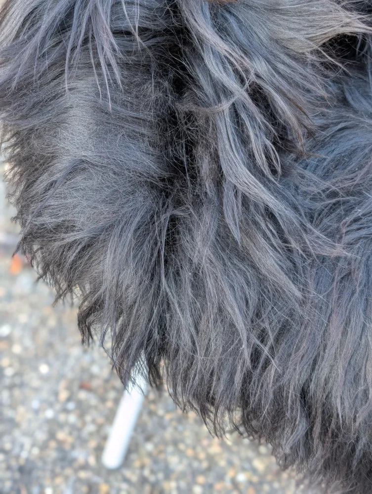 A thick dark gray shaggy fur coat made of long wool icelandic sheepskin natural black wool icelandic material