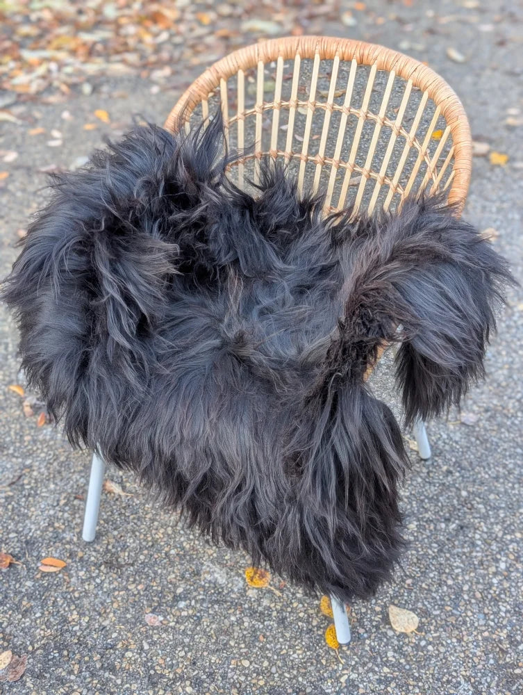 Black long wool icelandic sheepskin throw draped over wicker chair showcasing natural wool icelandic texture