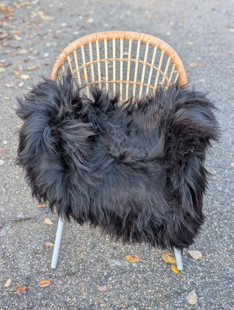 Black fluffy long wool icelandic sheepskin chair cover draped over woven wicker chair with white metal legs