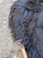 Close-up of thick curly black long wool icelandic sheepskin fur on ice31 52 by 34 inch natural wool icelandic product