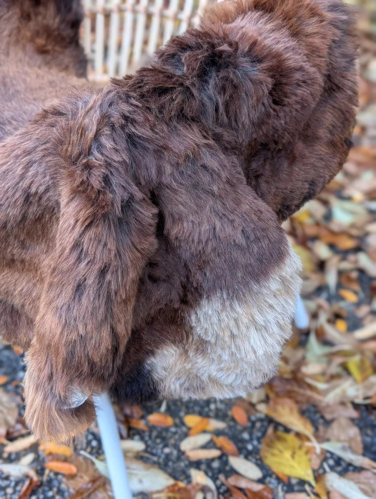 A fluffy brown and white rabbit with long drooping ears on a soft wool icelandic sheepskin 51 by 30.5 inches