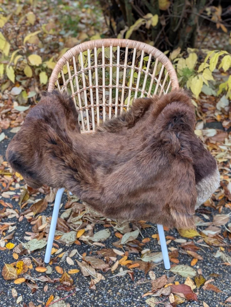 Brown fluffy wool icelandic sheepskin rug draped over wicker chair with light blue metal legs ice32 51 x 30.5 inches