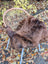 A plush brown wool icelandic sheepskin throw draped over a woven wicker chair with light blue metal legs