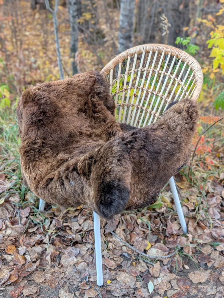 Brown fluffy icelandic sheepskin throw draped over a wicker chair with white metal legs showcasing wool icelandic texture