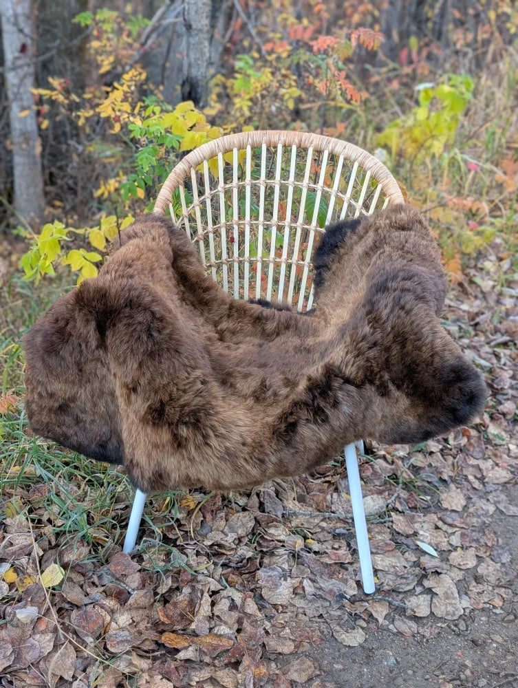 Brown Icelandic sheepskin wool throw draped over woven rattan chair with white metal legs for cozy decor