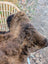 A plush brown and black icelandic sheepskin wool rug draped over the back of a wicker chair with soft natural fur texture