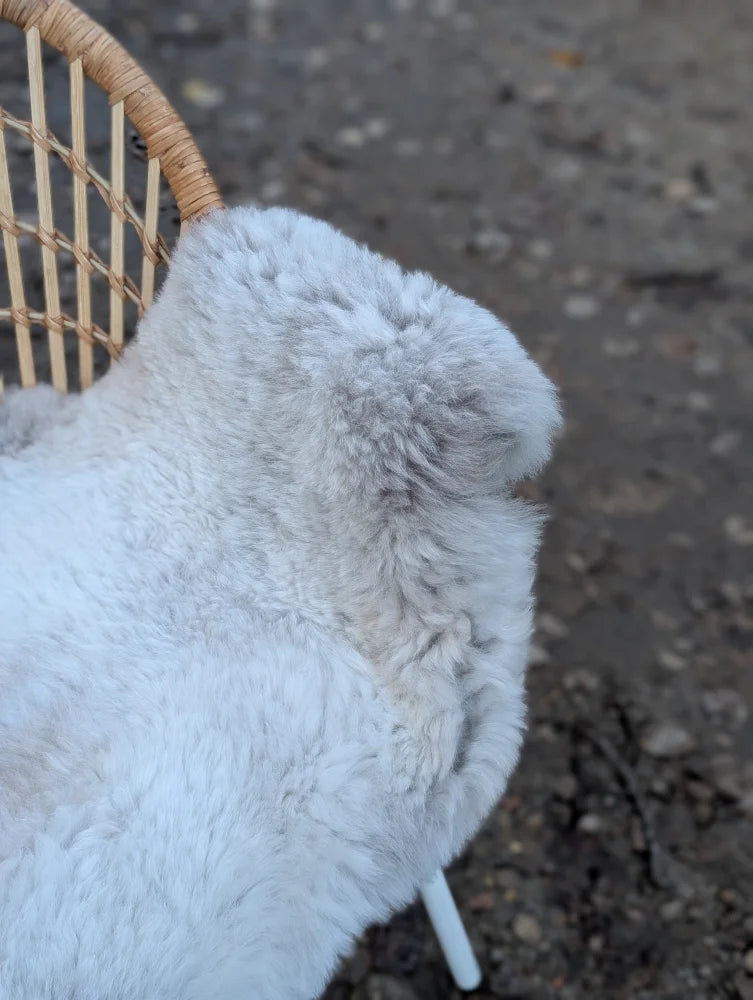 A soft light gray icelandic sheepskin rug chair cover with plush long wool and subtle dark edges