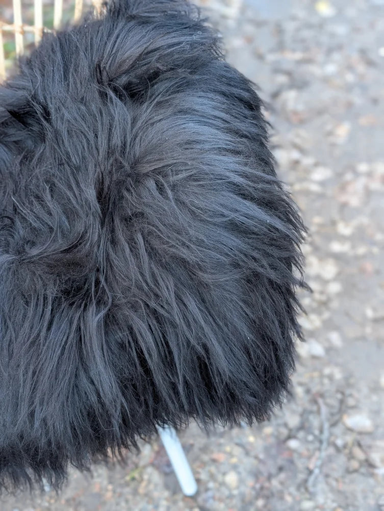 A fluffy black dog on a long wool natural black icelandic sheepskin rug measuring 50 by 30 inches