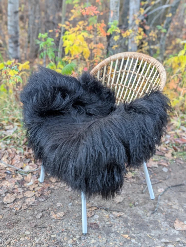 Black fluffy long wool icelandic sheepskin throw draped over woven wicker chair with metal legs