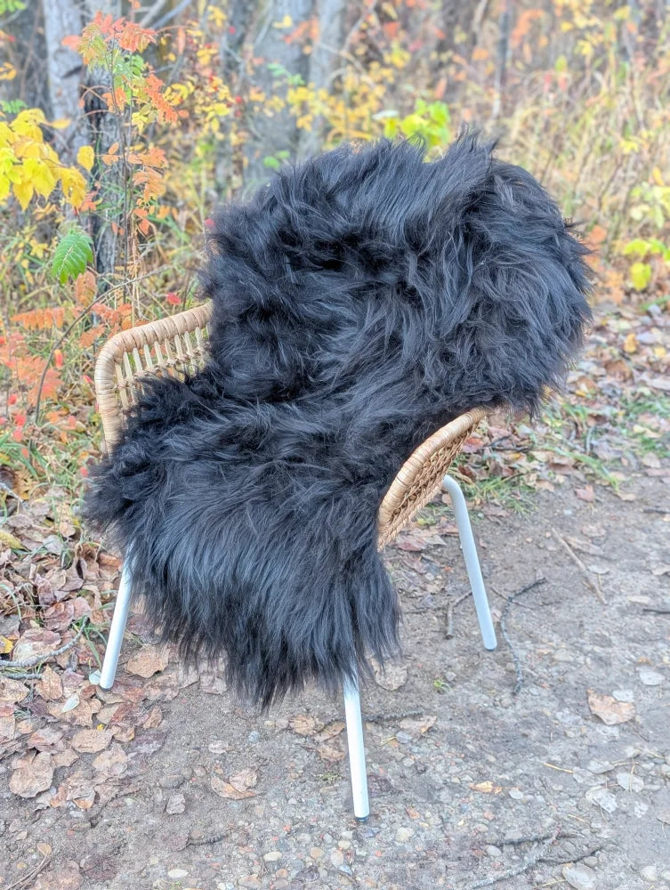 Black chair with woven wicker frame and metal legs covered in natural black long wool icelandic sheepskin