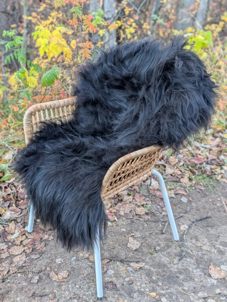 Black thickly fur-covered wool icelandic sheepskin throw blanket draped over wicker chair long wool natural black