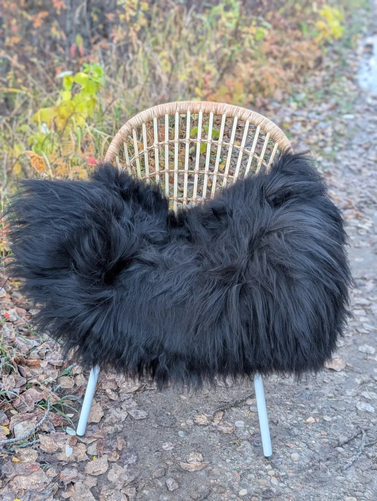 Black fluffy long wool icelandic sheepskin throw draped over woven wicker chair with white metal legs