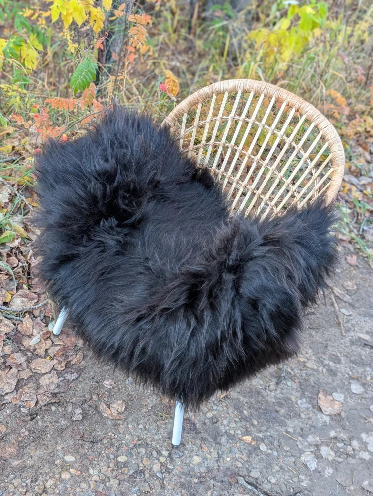 Black fluffy long wool icelandic sheepskin draped over woven wicker chair perfect for cozy decor
