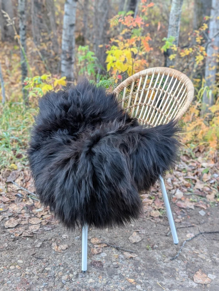 Black fluffy icelandic sheepskin long wool throw draped over wicker chair with metal legs for cozy use