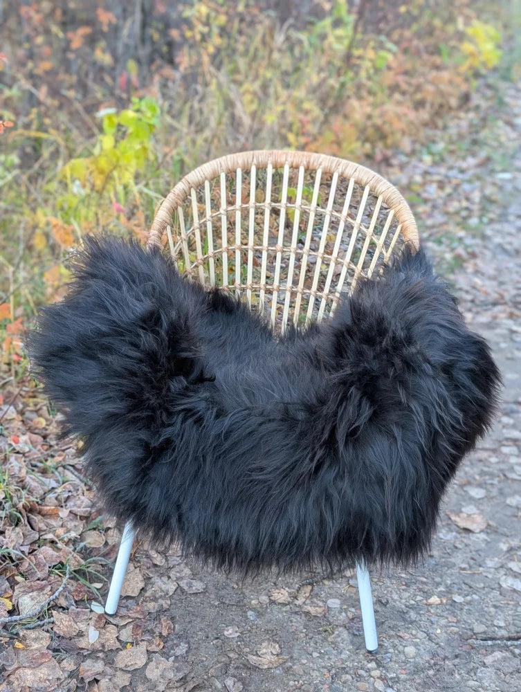 Black fluffy icelandic sheepskin throw with long wool draped over a wicker chair with metal legs for cozy decor