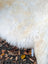 Plush off-white british isles sheepskin rug with soft fluffy texture and natural color variations, ice64 44 x 30 inches
