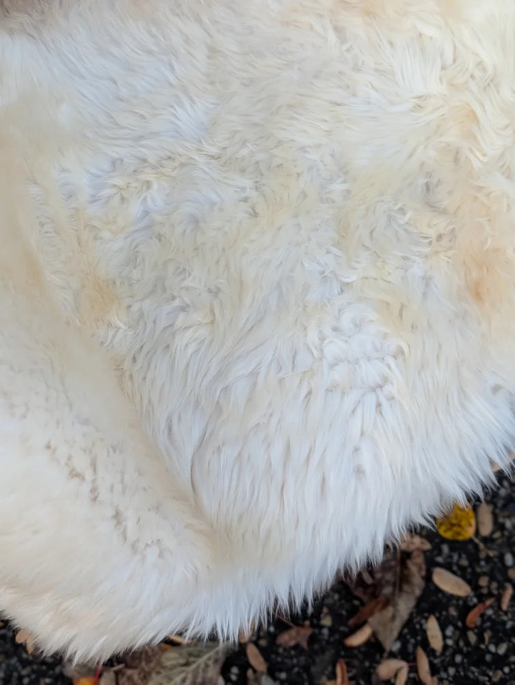 A plush off-white very soft british isles sheepskin throw with dense faux fur and slightly matted edges measuring 44 by 30 inches