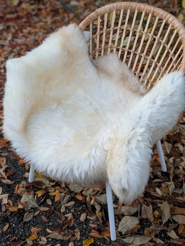 Cream-colored very soft british isles sheepskin rug draped over wicker chair ice64 44 x 30 isles sheepskin