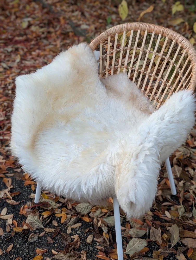 White fluffy british isles sheepskin throw draped over wicker chair soft natural ice64 44 x 30 inches