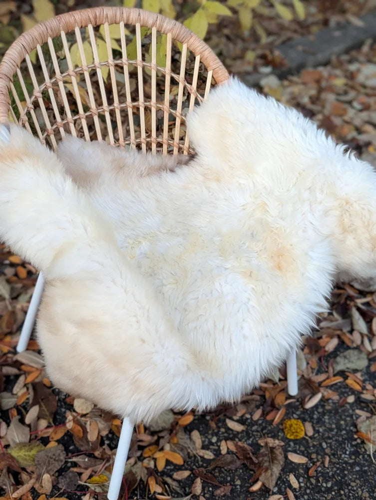 A cozy cream-colored british isles sheepskin throw draped over a wicker chair with white metal legs