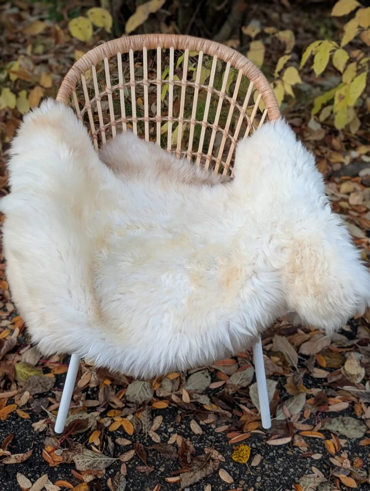 A cozy white british isles sheepskin throw draped over a woven rattan chair with slender white legs