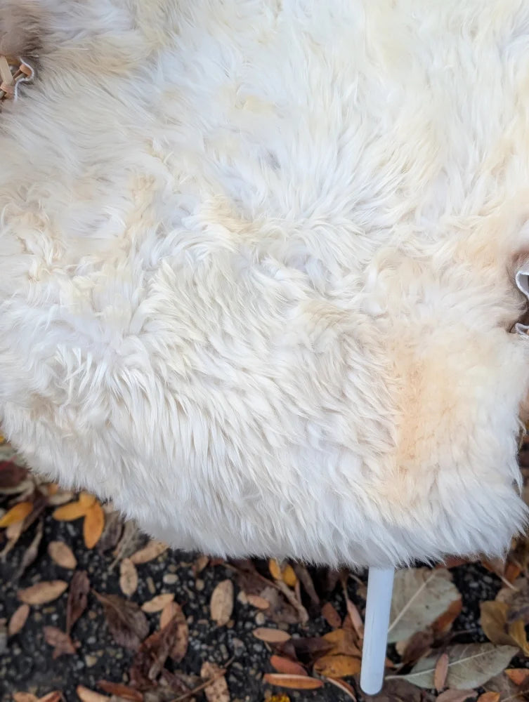 A plush off-white very soft british isles sheepskin rug with shaggy texture and natural color variations