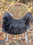 A plush dark gray wool icelandic sheepskin rug with dark edges draped over a woven wicker chair with white metal legs