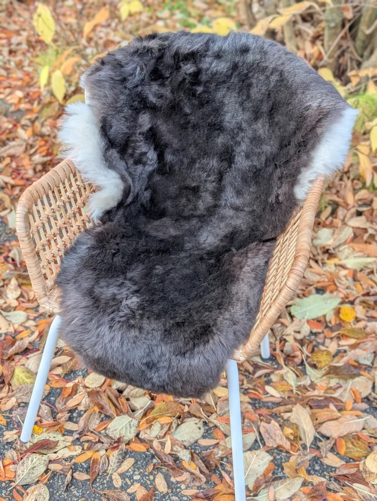 A dark gray icelandic sheepskin rug with soft white fur trim and dark edges on a wicker chair, wool icelandic sheepskin