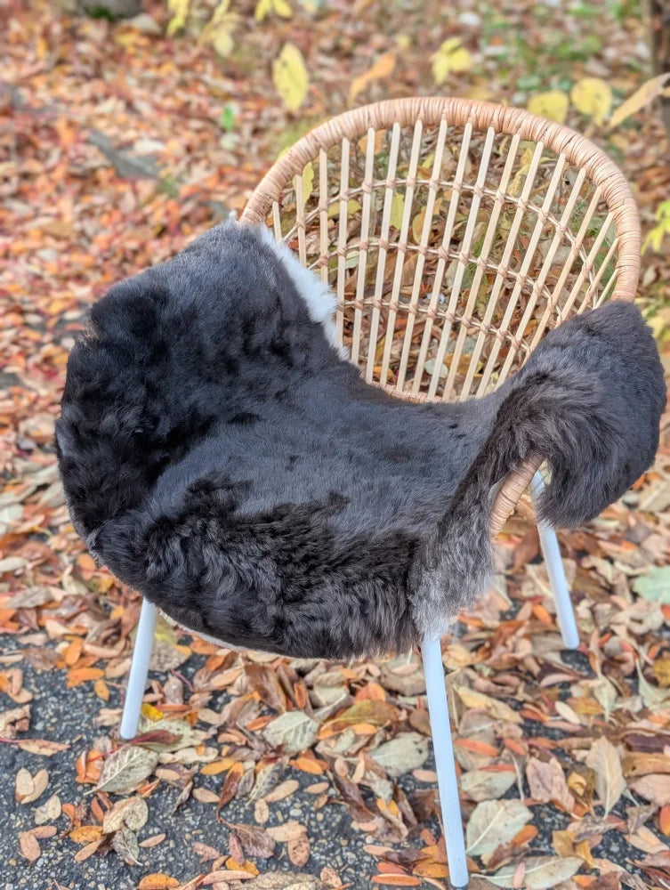 Black wool icelandic sheepskin chair cover with dark edges draped over woven rattan chair with white metal legs
