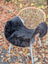 Black wool icelandic sheepskin chair cover with dark edges draped over woven rattan chair with white metal legs