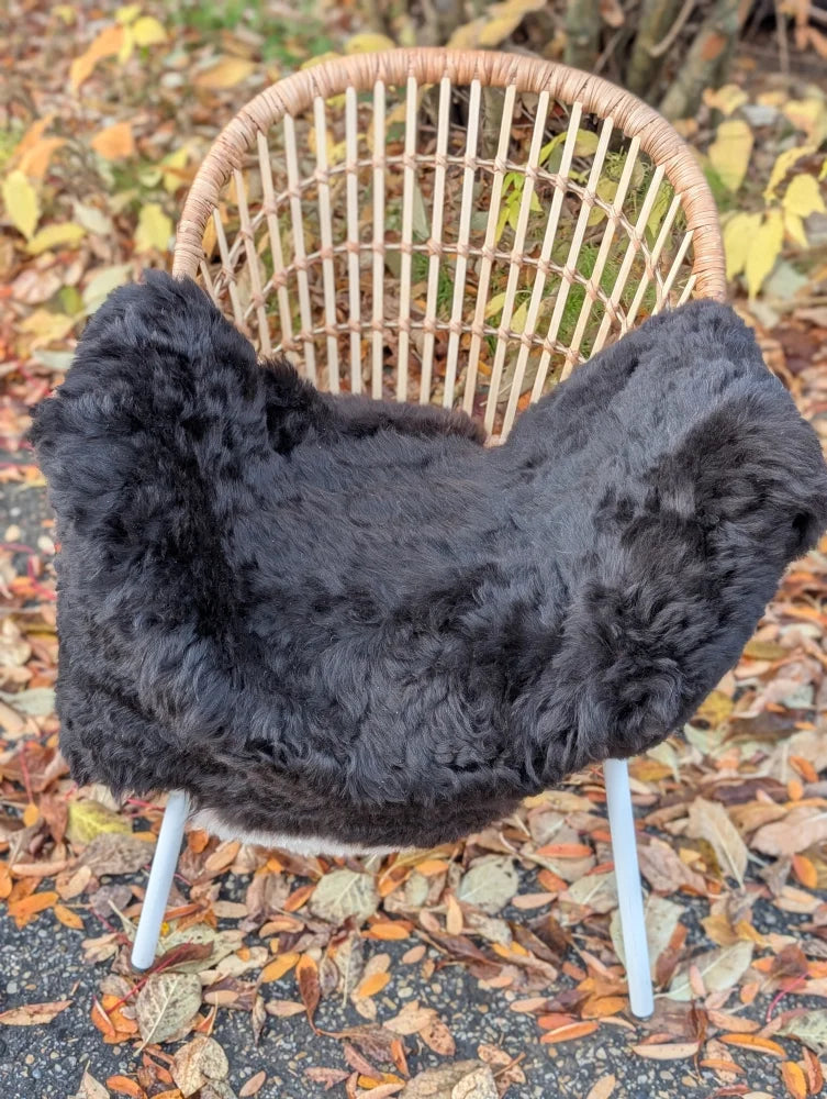 Black short wool icelandic sheepskin cover with dark edges draped over wicker chair with white legs