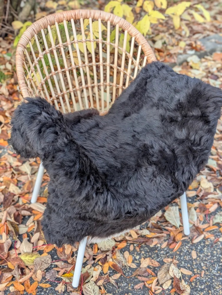 Black plush wool icelandic sheepskin rug with dark edges draped over a wicker chair perfect for cozy decor