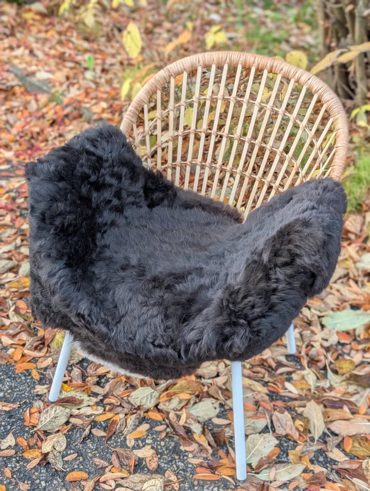 A cozy black wool icelandic sheepskin chair cover with dark edges draped over a wicker chair with white metal legs